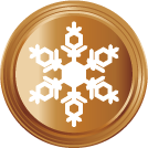 1 snowflake Bronze