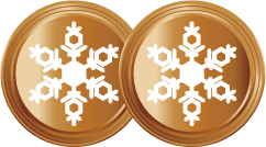 2 snowflakes Bronze