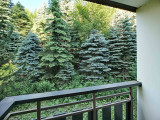 _lv_images__lot_0012020308_10_32222156