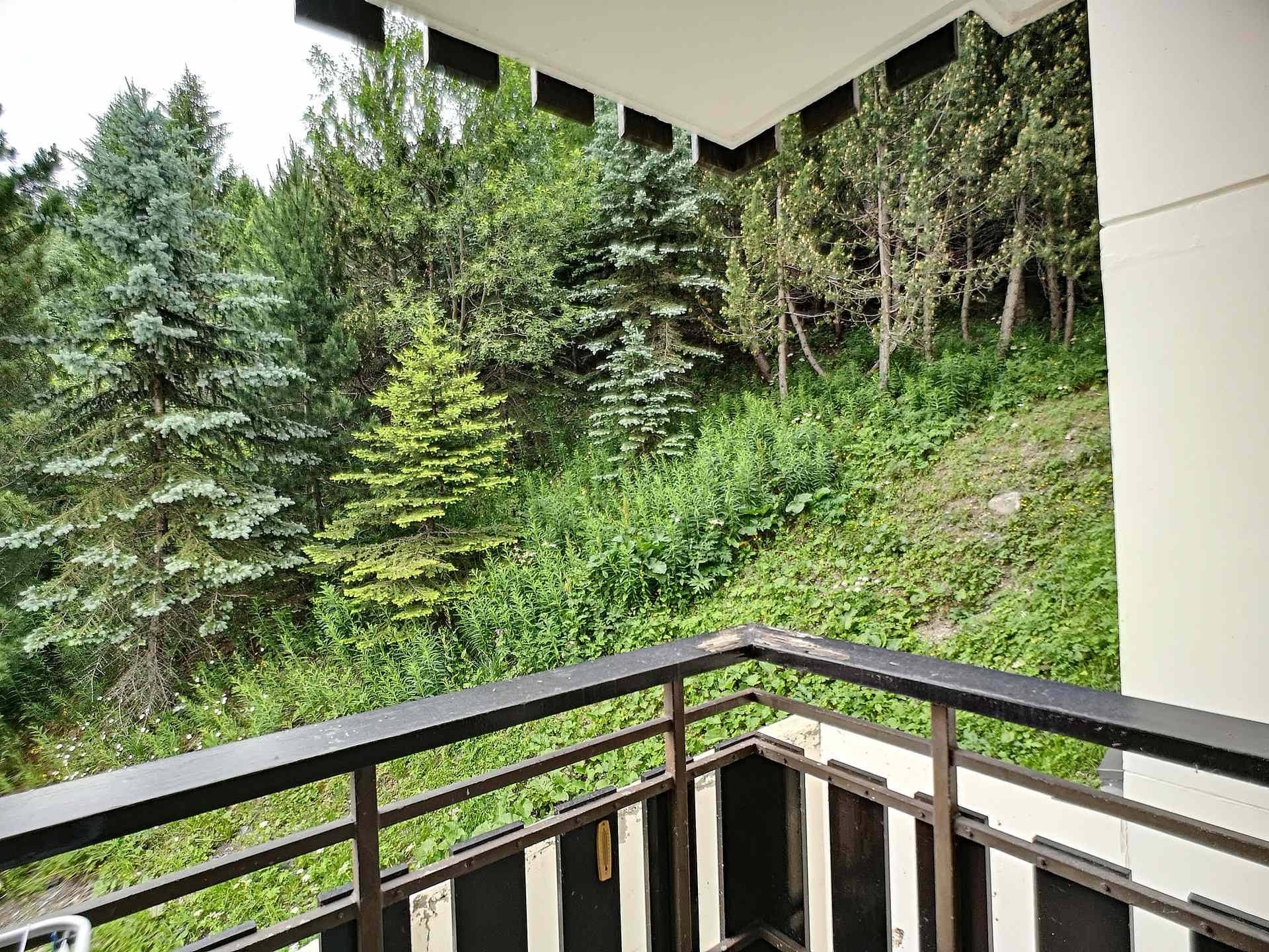 _lv_images__lot_0012020105_13_29485172