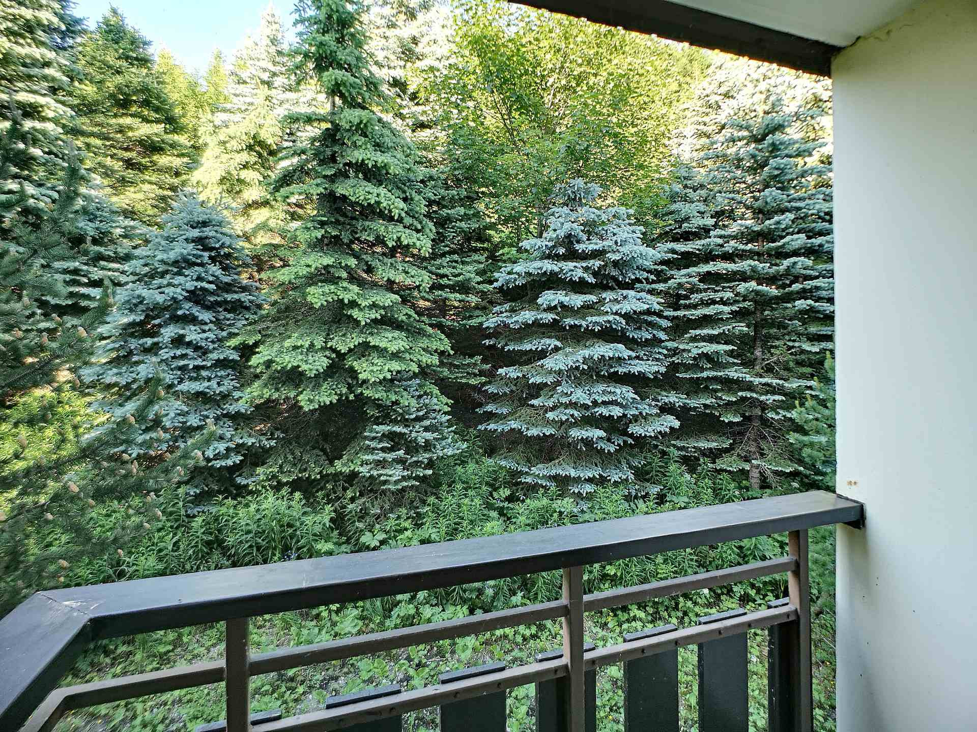 _lv_images__lot_0012020308_10_28631735