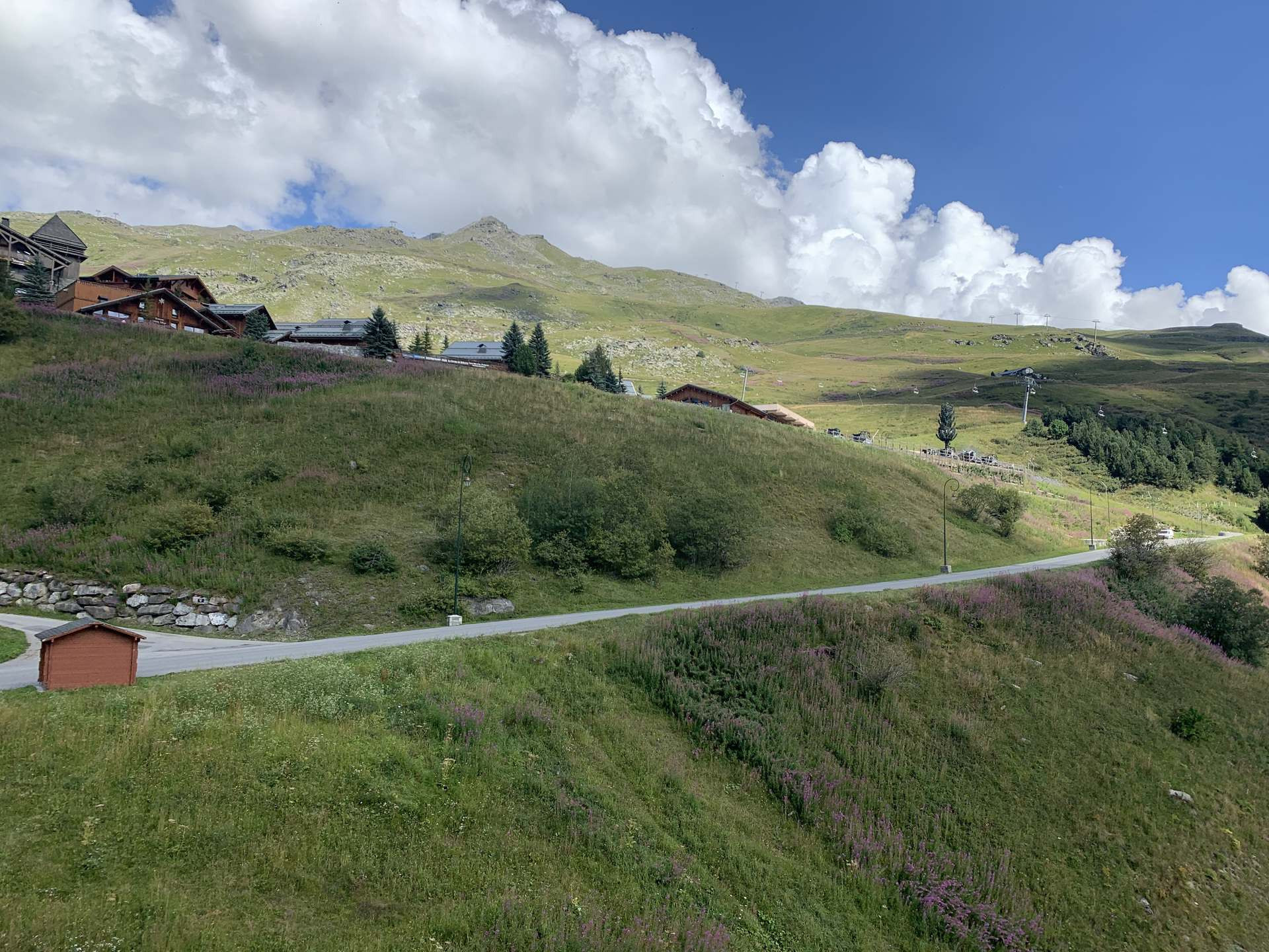_lv_images__lot_0060030506_08_32428353 _lv_images__lot_0060030506_08_32428353