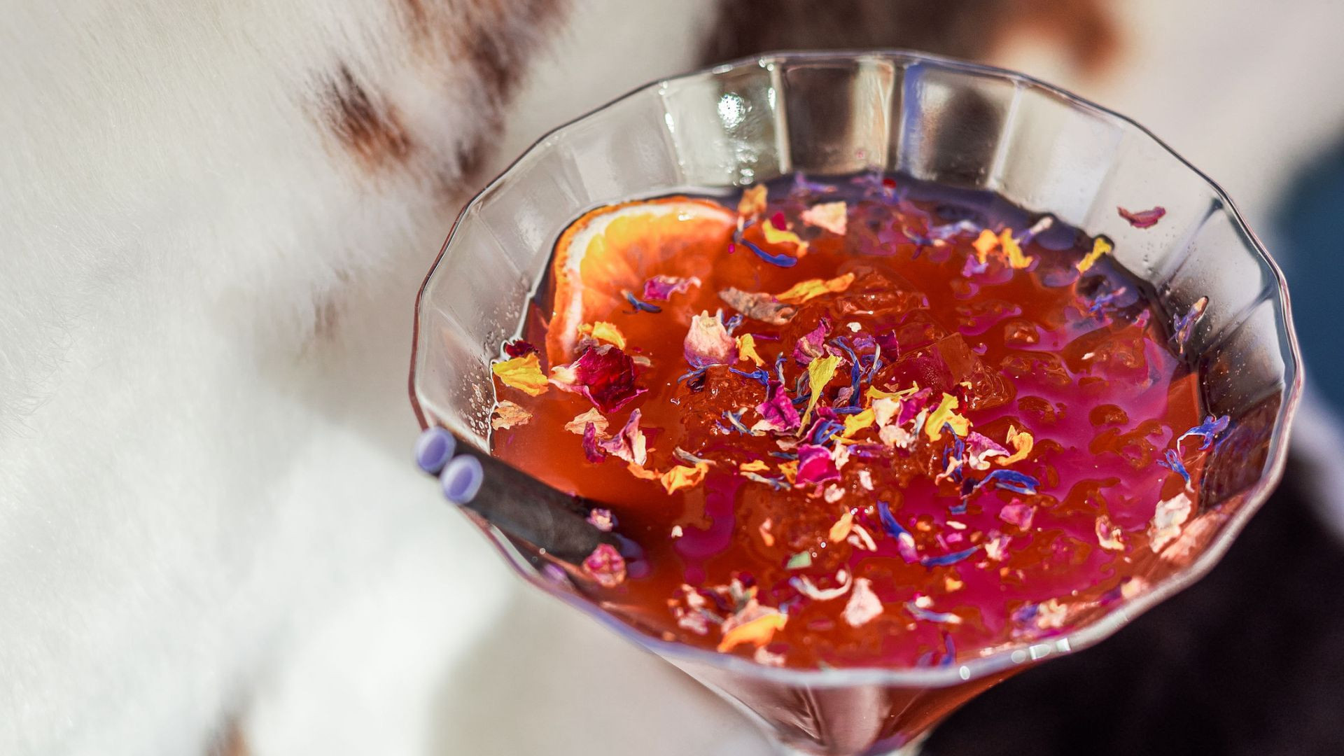 Dinner in a private igloo - Alpin Steak House