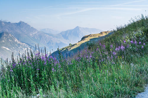 _agence-des-belleville_lv_images__imme_0000045801_01_29190538