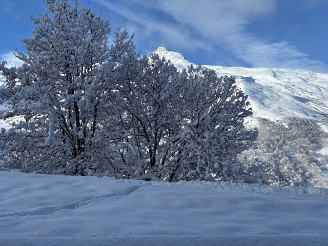 _agence-des-belleville_lv_images__lot_0000071253_14_29451588