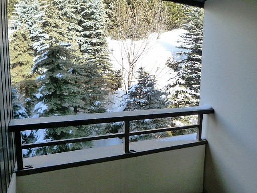 _lv_images__lot_0012020408_08_28258006