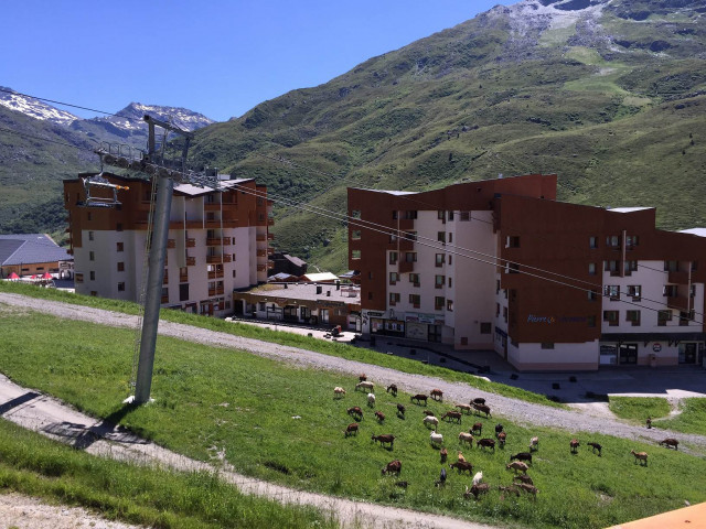 Cuisine Cuisine